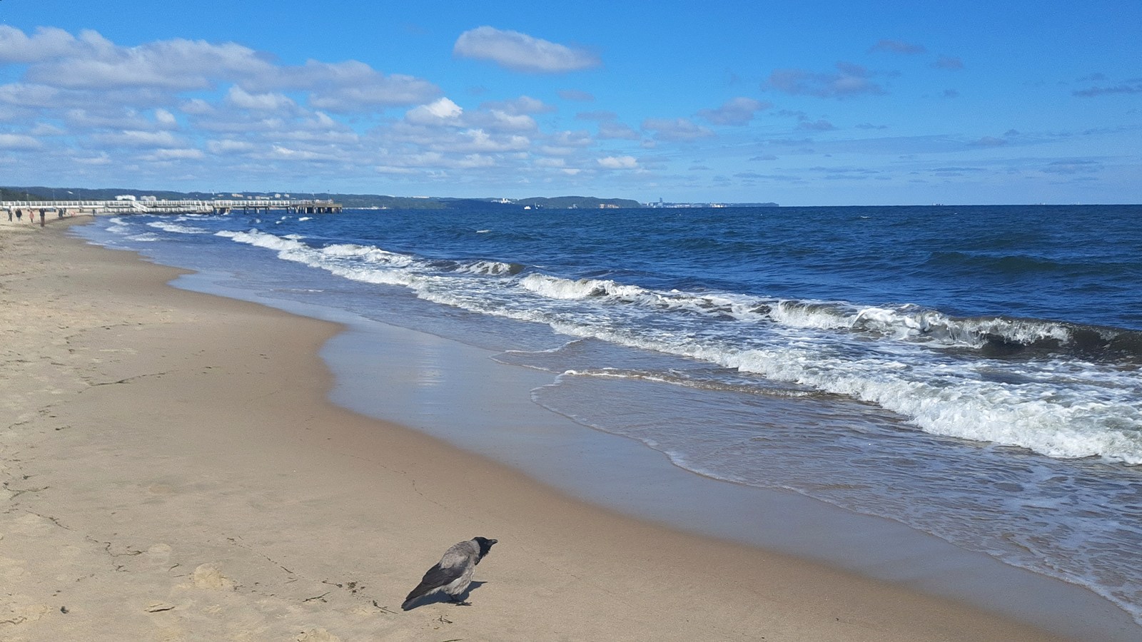 Plaża Brzeźno nad Bałtykiem, Gdańsk